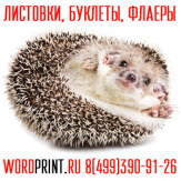 Визитки недорого печать листовки дешево в Жулебино Типография в Люберцах