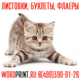 Оперативная Полиграфия в Люберцах Срочная печать Визиток и Листовок Жулебино Котельники Некрасовка Кожухово