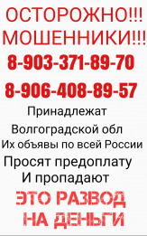 Проститутка Мошенники  в Московской области