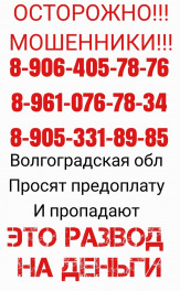 Проститутка МОШЕННИКИ  в Московской области
