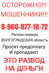 Проститутка МОШЕННИКИ  в Московской области